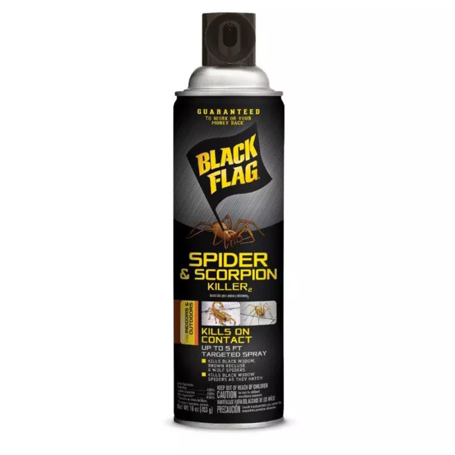 Black Flag Spider & Scorpion Killer Aerosol-16 oz